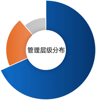 管理层级分布