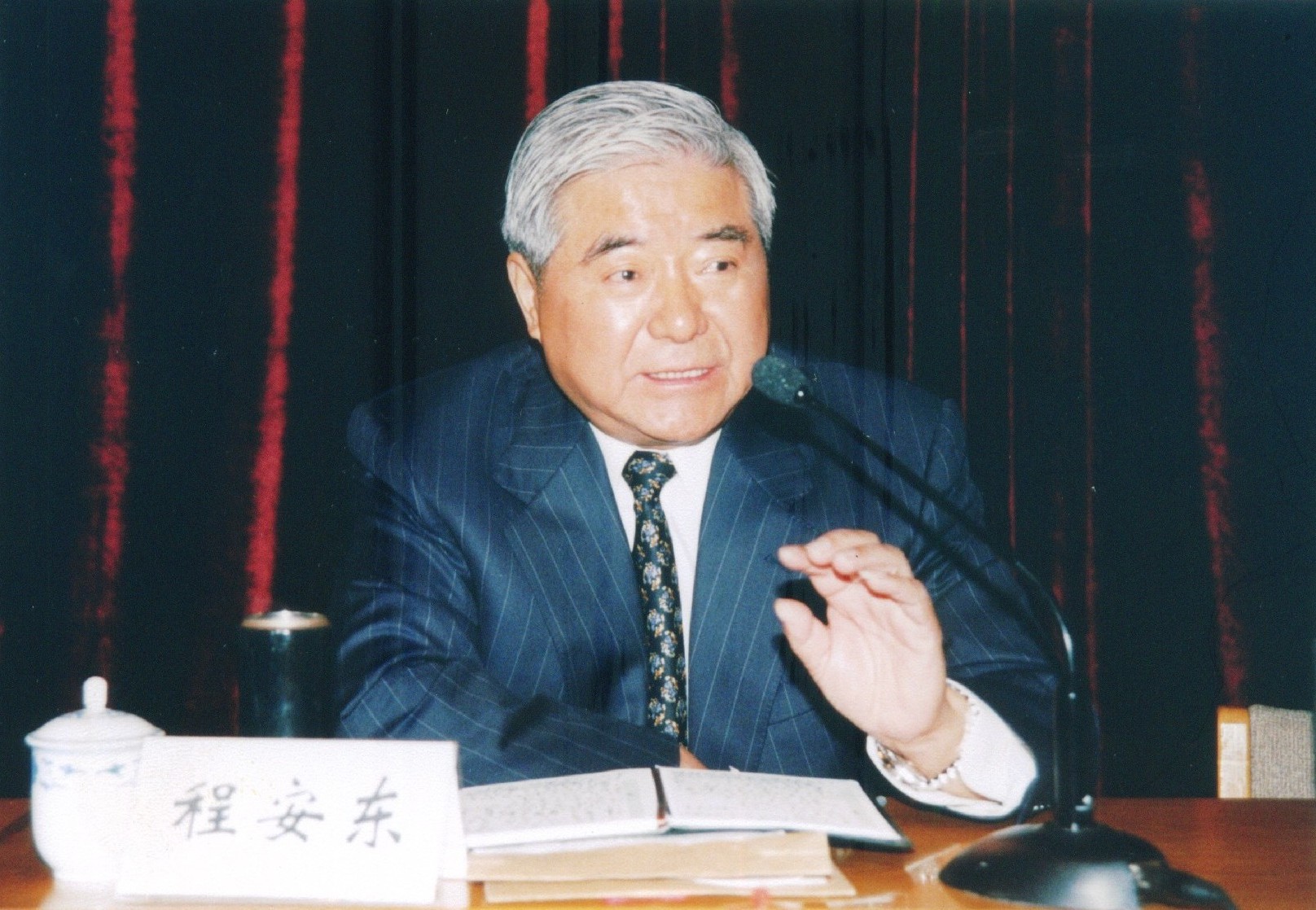 1995年8月 省长之议